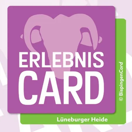 Im Winkel Apartamento *